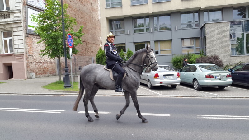 Zdjęcie 5: Strażacy świętowali w Piotrkowie