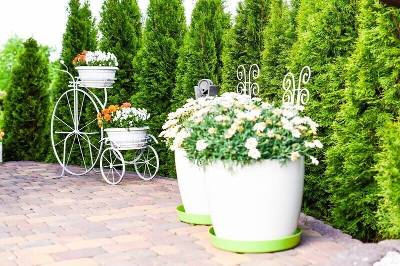 Zdjęcie 6: Konkurs „Mój piękny ogród” rozstrzygnięty!