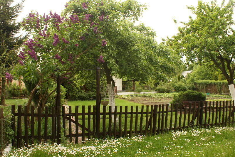 Zdjęcie 9: Konkurs „Mój piękny ogród” rozstrzygnięty!