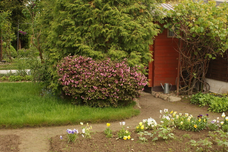 Zdjęcie 10: Konkurs „Mój piękny ogród” rozstrzygnięty!