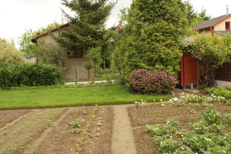 Zdjęcie 11: Konkurs „Mój piękny ogród” rozstrzygnięty!