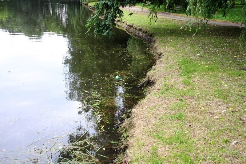 Zdjęcie 3: Masz stare zdjęcia parku? Zanieś je do Urzędu! 