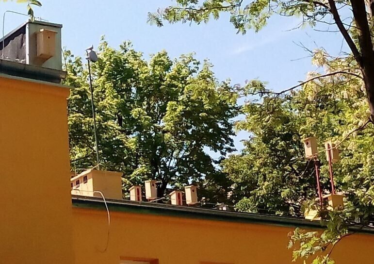 Zdjęcie 2: Pozbawili je mieszkań. Teraz powstało nowe osiedle 