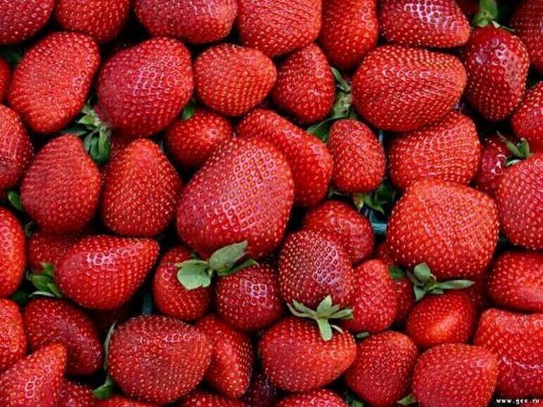 Łódzkie na EXPO. Pokazujemy jabłka i truskawki