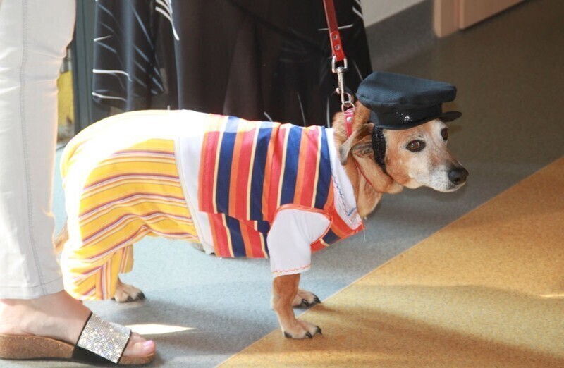 Zdjęcie 11: Raz na ludowo w Jarostach 