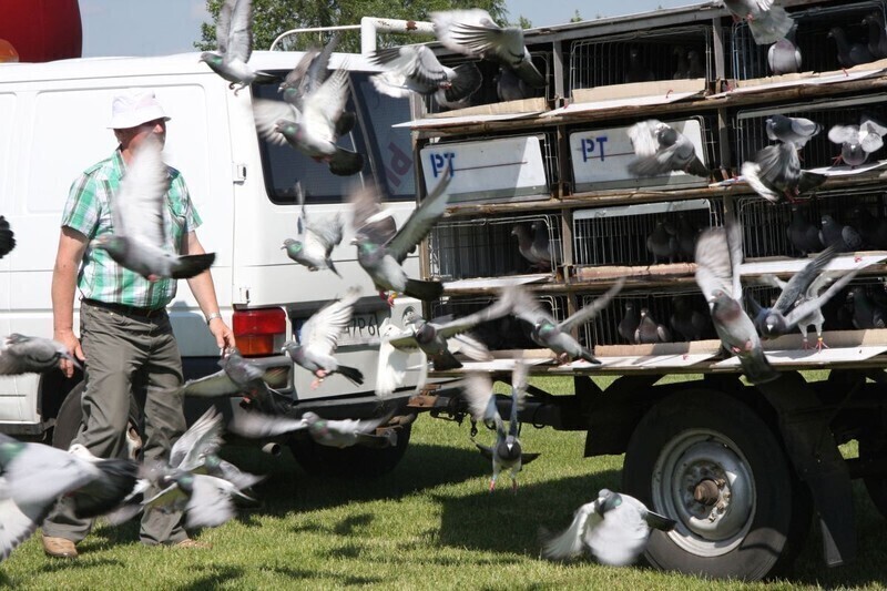 Zdjęcie 2: Tak wyglądał drugi dzień święta Gorzkowic  