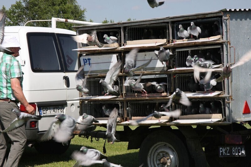Zdjęcie 3: Tak wyglądał drugi dzień święta Gorzkowic  