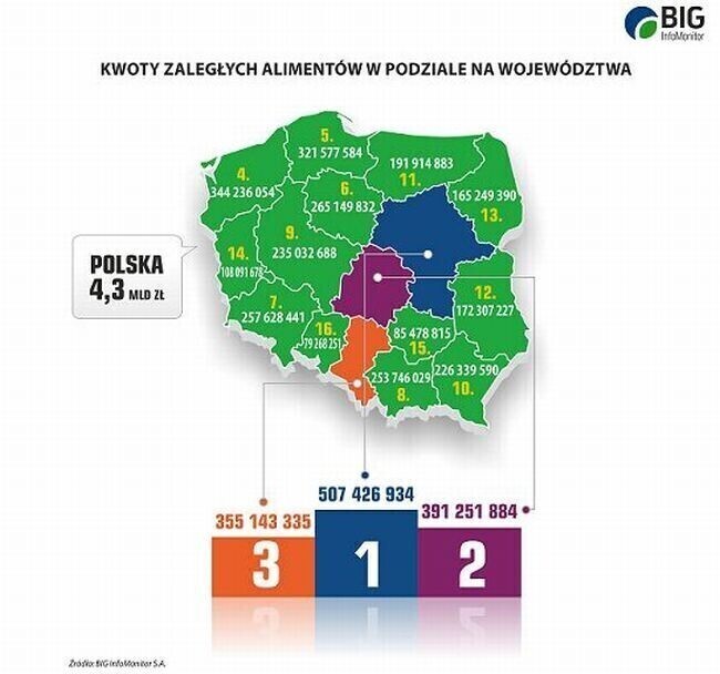 Dzięki rejestrom dłużników gminy łódzkiego poprawią ściągalność alimentów