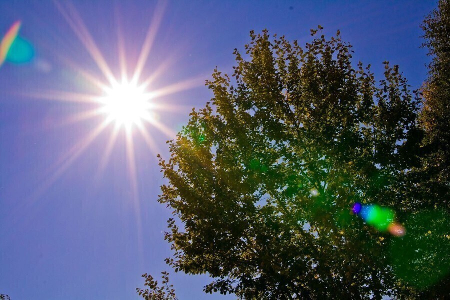 Pierwszy tydzień wakacji bez upałów. Sprawdź prognozę pogody dla Piotrkowa