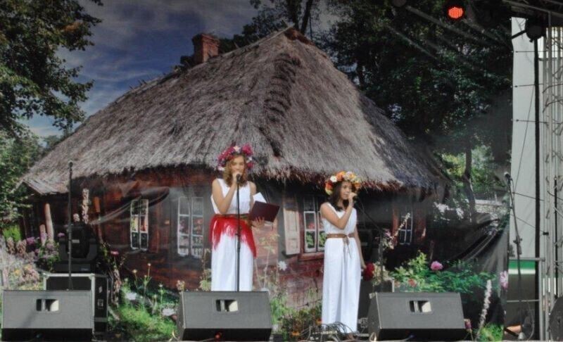 Zdjęcie 3: Noc Świętojańska w gminie Czarnocin