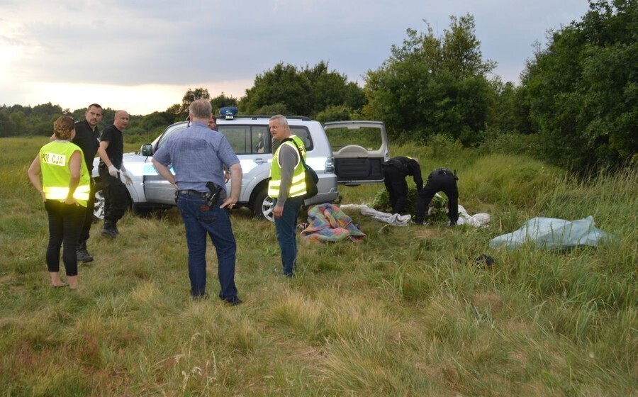 Zlikwidowano ukryte w lesie plantacje konopi