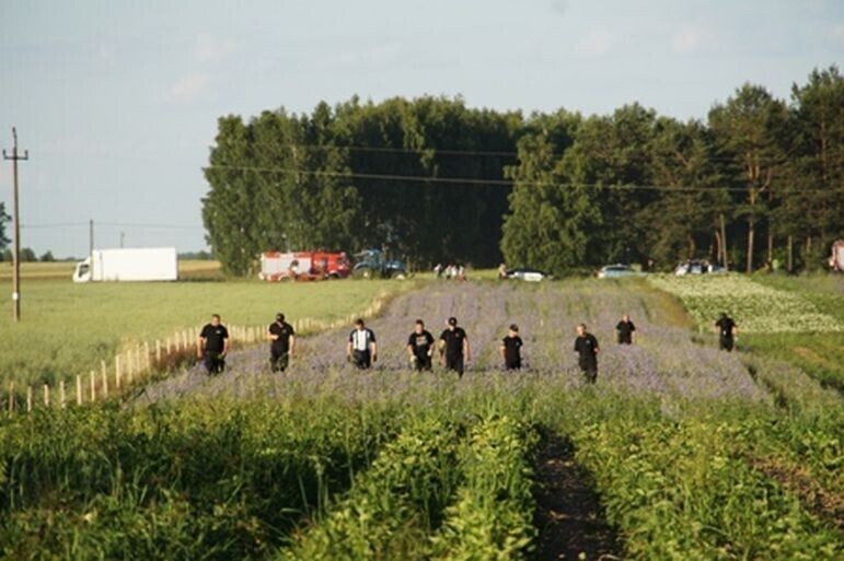 Zdjęcie 3: Zlikwidowano jedną z największych plantacji marihuany w Polsce