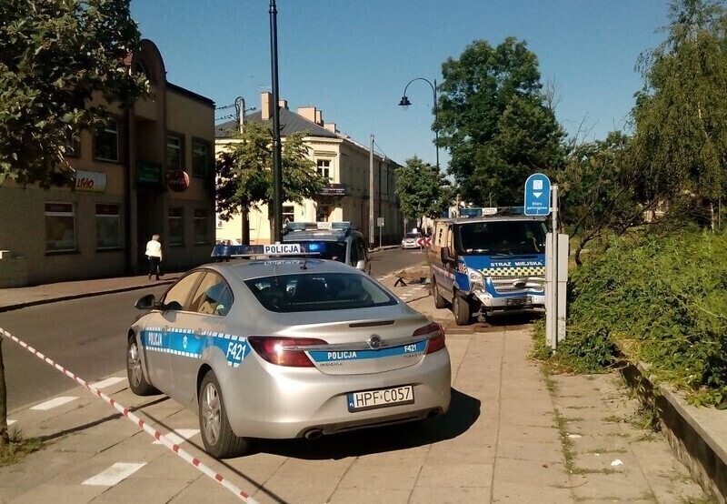 Zdjęcie 3: Samochód Straży Miejskiej wjechał na chodnik i staranował znak drogowy