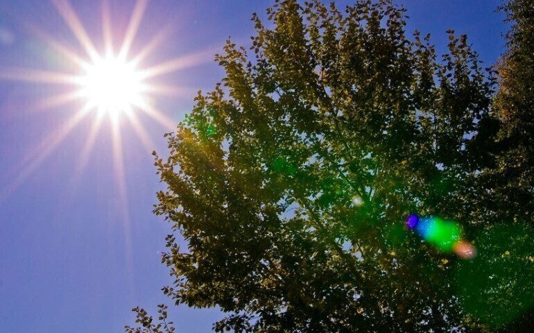 No i mamy żar tropików...