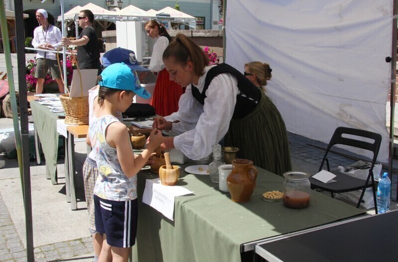 Zdjęcie 3: Marcepany Zygmunta Starego w Rynku Trybunalskim