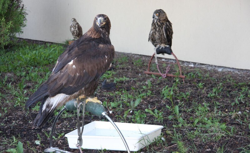 Zdjęcie 29: Fly Fest na lotnisku - dzień pierwszy [WIĘCEJ ZDJĘĆ]