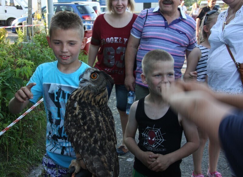 Zdjęcie 31: Fly Fest na lotnisku - dzień pierwszy [WIĘCEJ ZDJĘĆ]