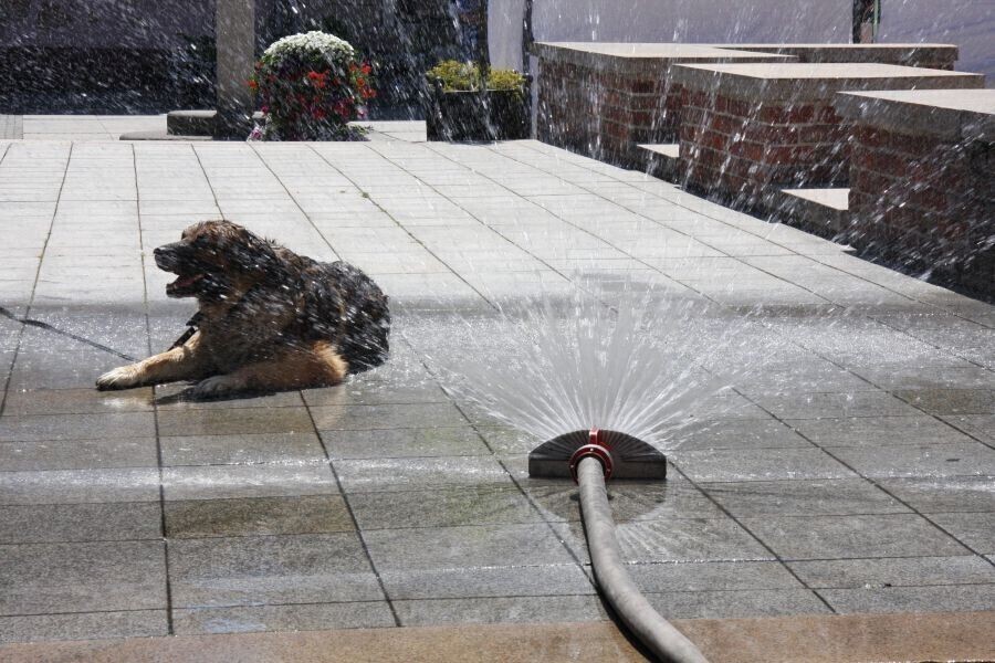 Zdjęcie 1: Będzie jeszcze goręcej! 