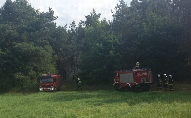 Pożary lasów w Siomkach i Adamowie