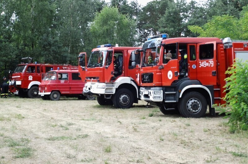 Zdjęcie 4: Strażacy ćwiczyli w lasach pod Piotrkowem 