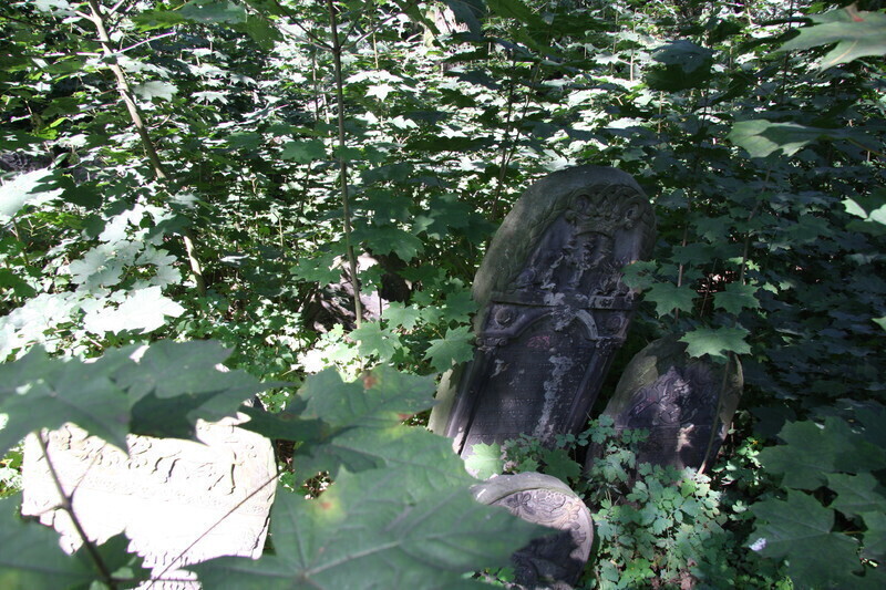 Zdjęcie 2: Prace porządkowe przy cmentarzu żydowskim