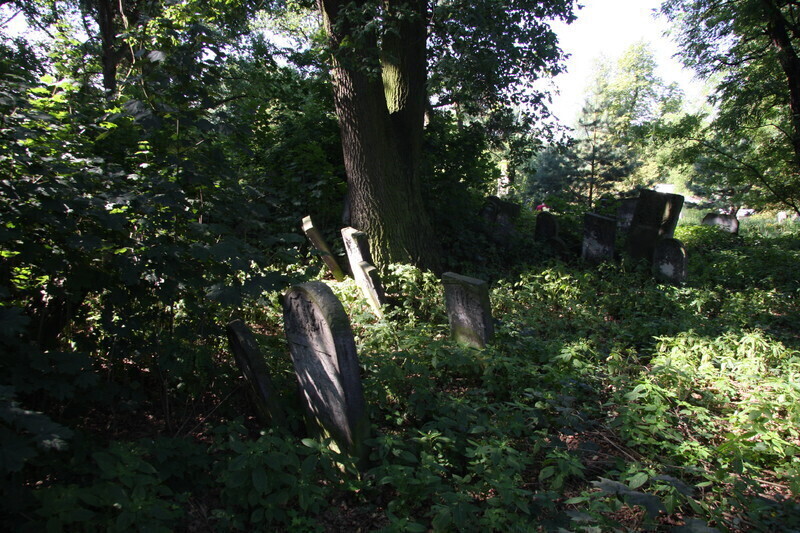 Zdjęcie 3: Prace porządkowe przy cmentarzu żydowskim