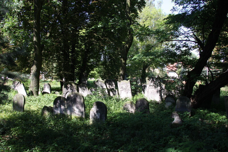 Zdjęcie 4: Prace porządkowe przy cmentarzu żydowskim