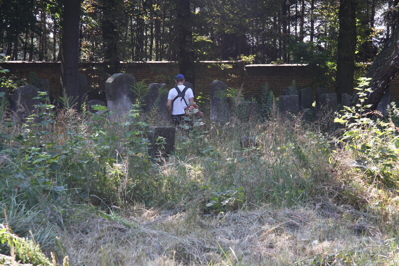 Zdjęcie 6: Prace porządkowe przy cmentarzu żydowskim