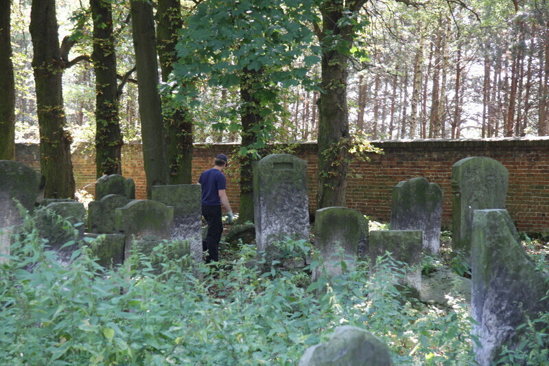 Zdjęcie 7: Prace porządkowe przy cmentarzu żydowskim