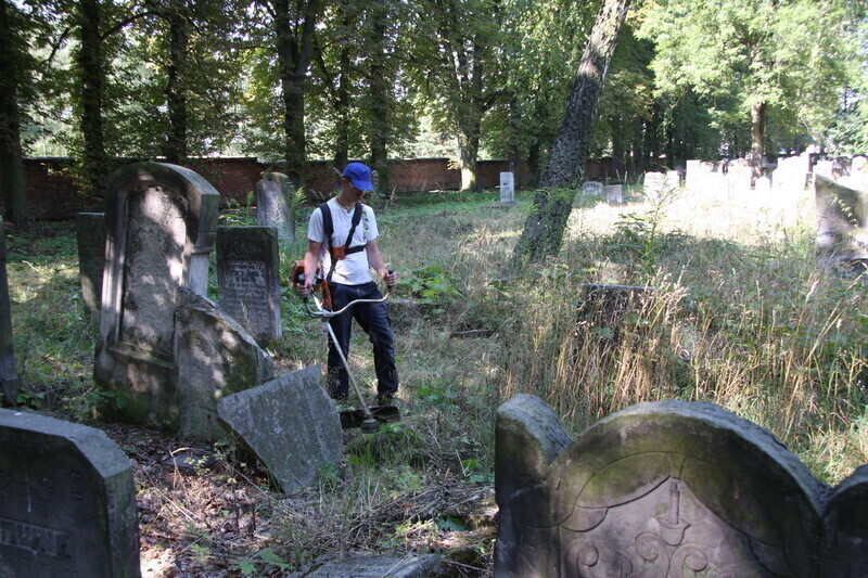 Zdjęcie 8: Prace porządkowe przy cmentarzu żydowskim