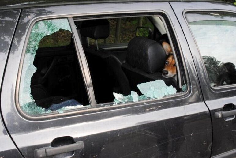 Wybijając szybę możemy uratować życie