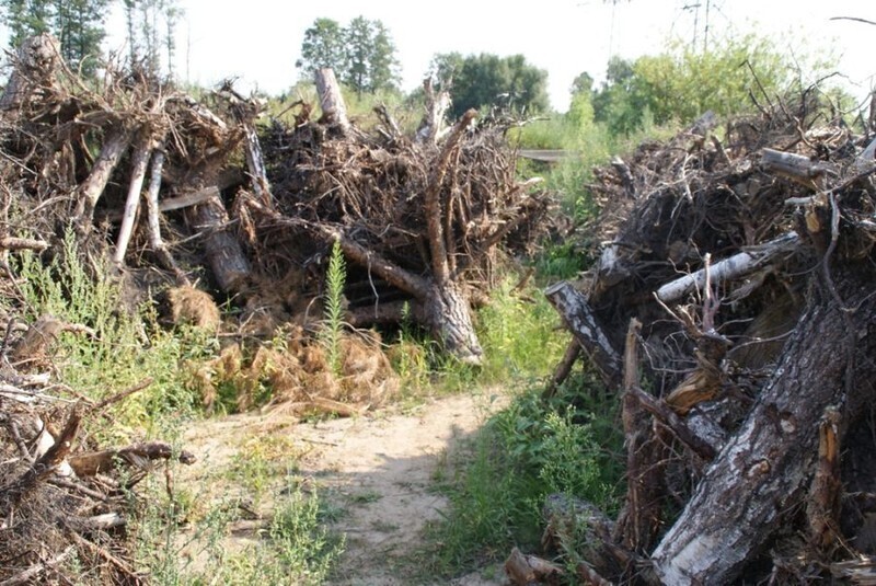 Zdjęcie 6: Zabezpieczyli narkotyki warte prawie 2 mln zł 