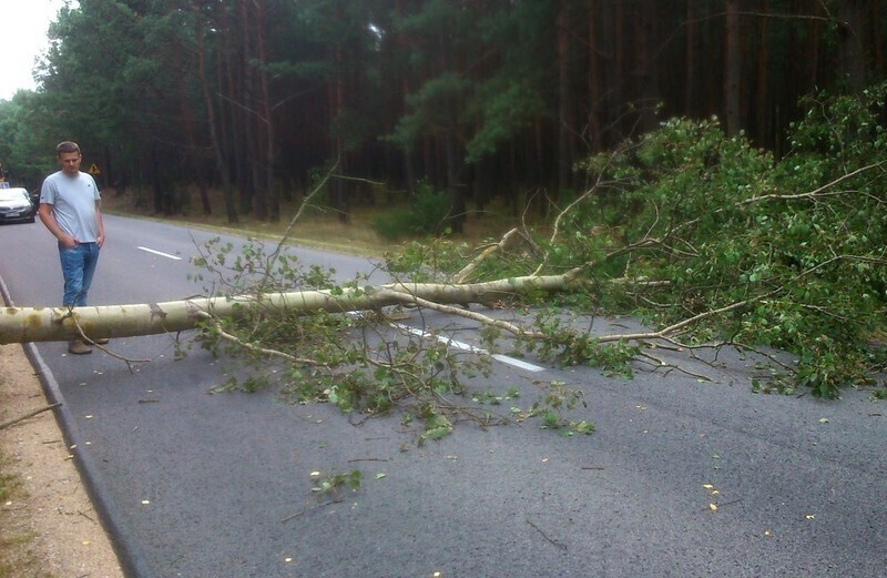 Zdjęcie 2: Drzewo spadło na samochód 