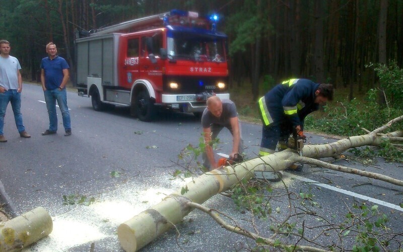 Zdjęcie 4: Drzewo spadło na samochód 