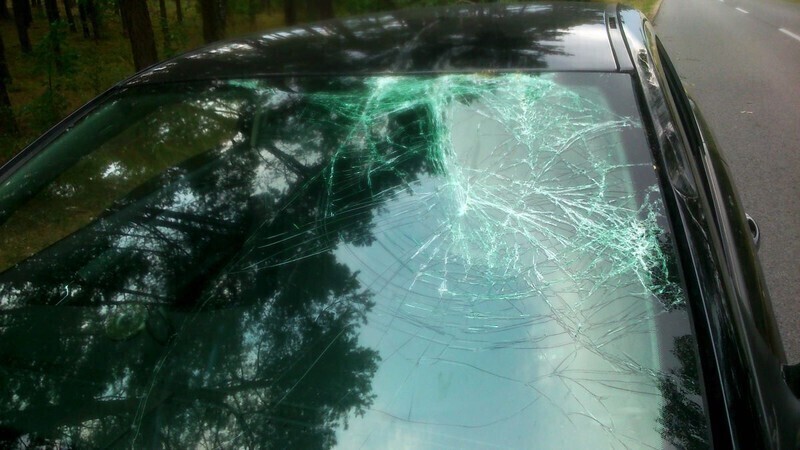 Zdjęcie 5: Drzewo spadło na samochód 