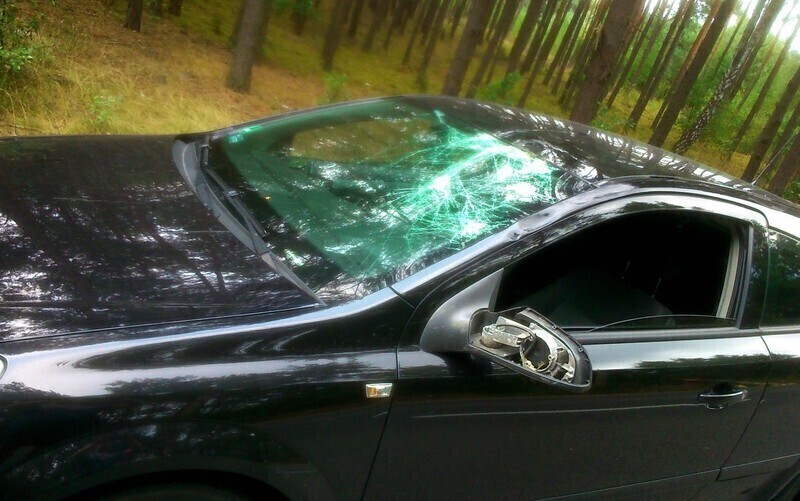 Zdjęcie 6: Drzewo spadło na samochód 