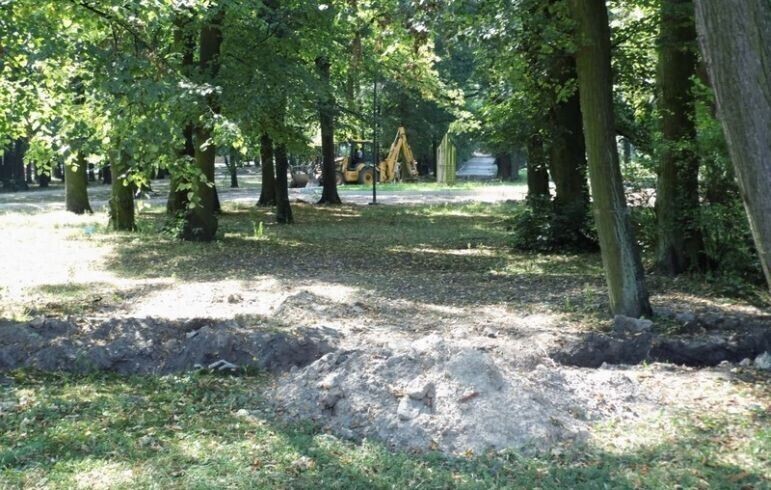 Czy psy wejdą do parku