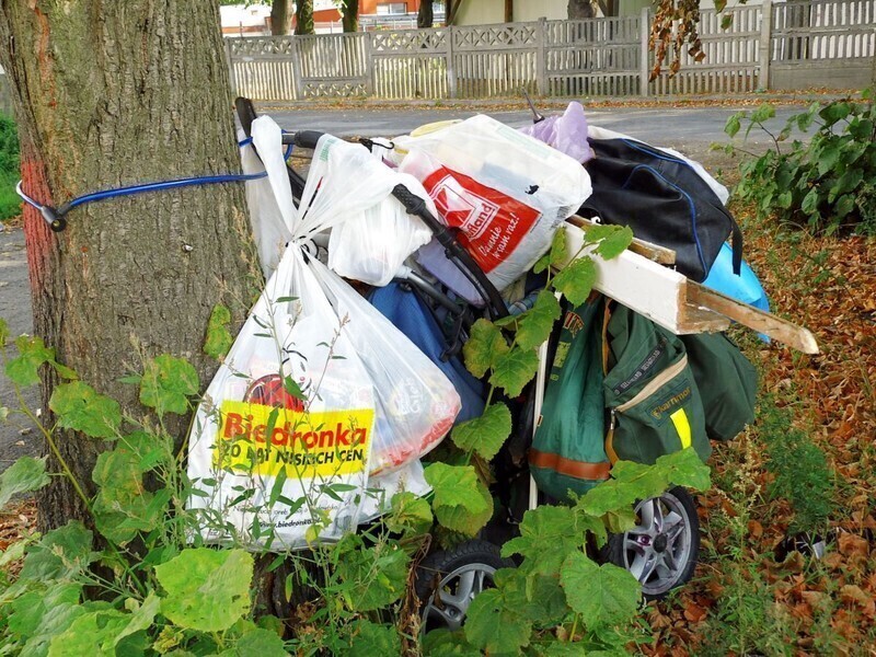 Zdjęcie 5: Żer dla szczurów przy ul. Czarnej w Piotrkowie 