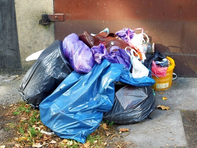 Zdjęcie 8: Żer dla szczurów przy ul. Czarnej w Piotrkowie 