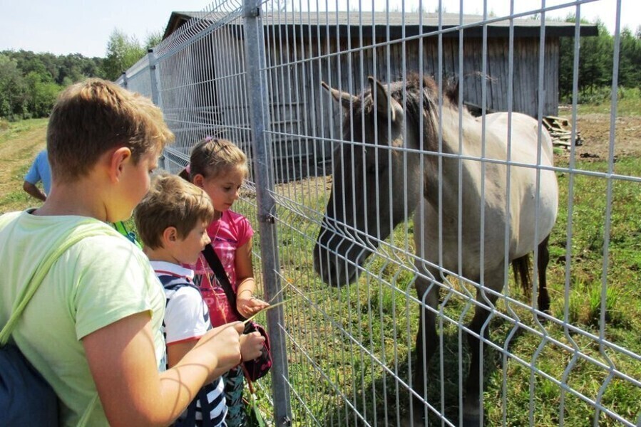 Zdjęcie 1: Ze świetlicy w plener... 