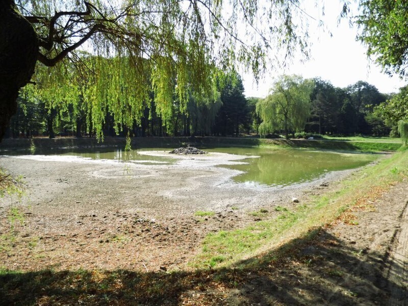 Zdjęcie 4: Na smyczy, a nawet w kagańcu