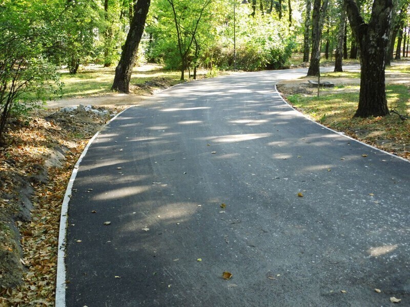 Zdjęcie 5: Na smyczy, a nawet w kagańcu