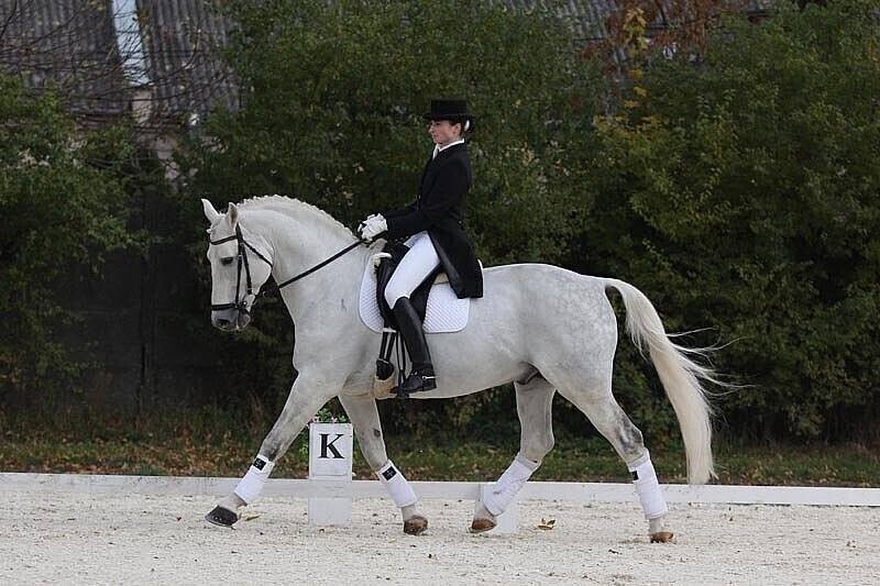 Bogusławice ponownie stolicą parajeździectwa