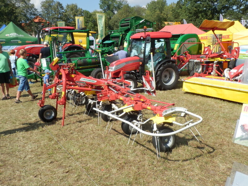 Króliki kaczki pawie ciągniki... XXIV Rol-Szansa