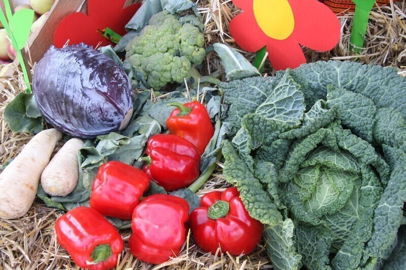 Zdjęcie 14: Zobacz, jak świętowali w Moszczenicy!