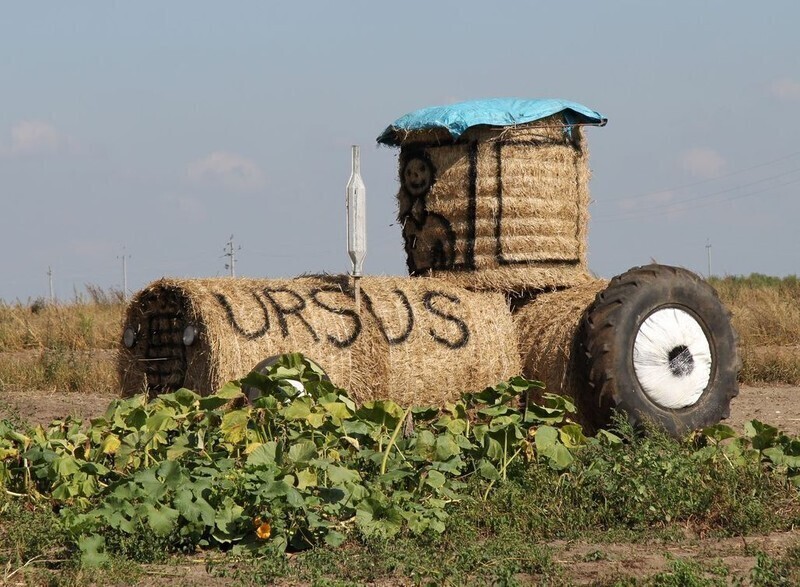 Zdjęcie 2: Piękni i młodzi na dożynkach w gminie Wola Krzysztoporska 