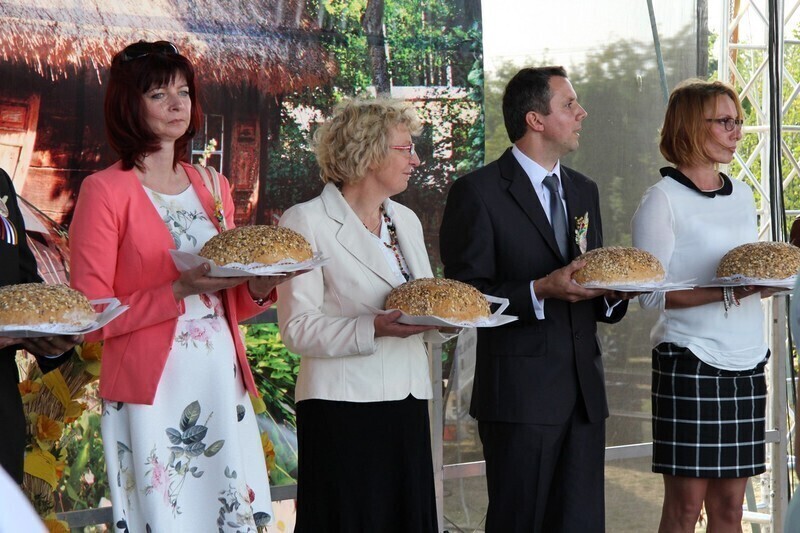 Zdjęcie 10: Piękni i młodzi na dożynkach w gminie Wola Krzysztoporska 