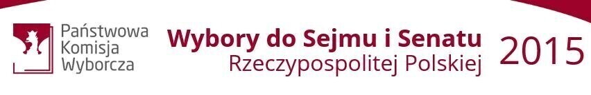 Wybory 2015. Kto do Sejmu i Senatu