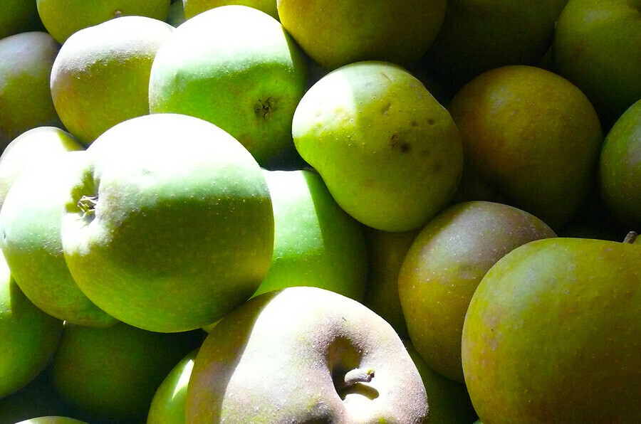 Zdjęcie 1: Jesienne smaki dla zdrowia