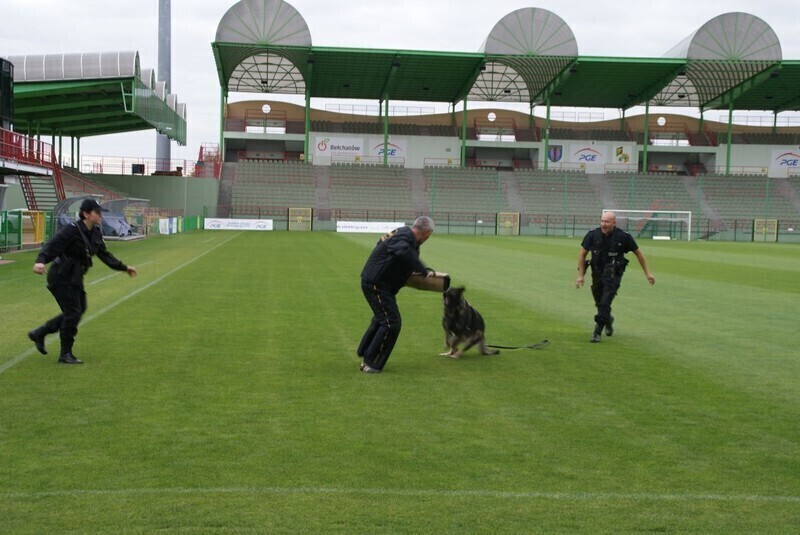 Zdjęcie 12: Ruszyła kampania 